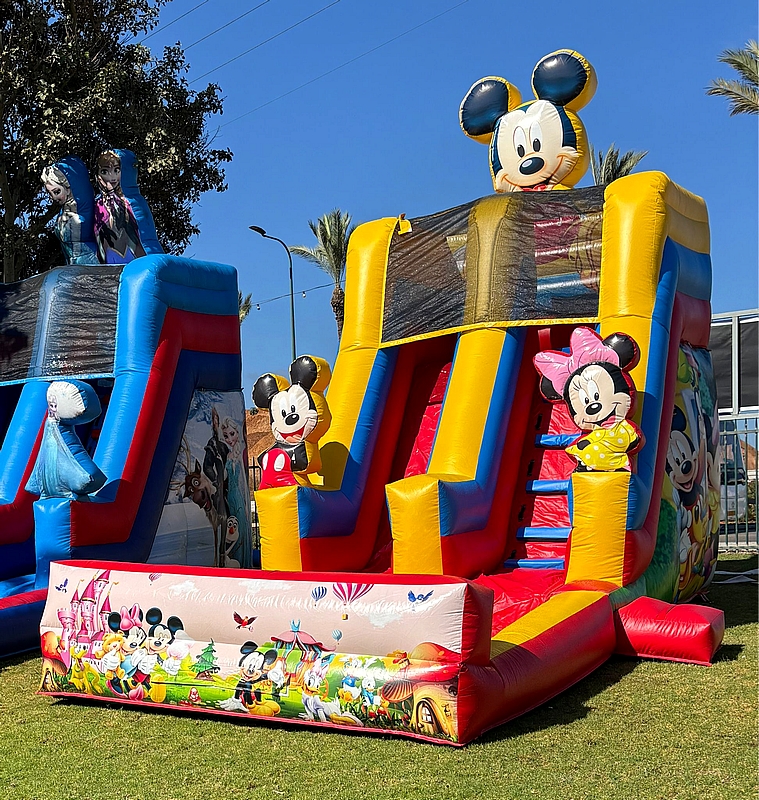 מגלשת מיקי ומיני
