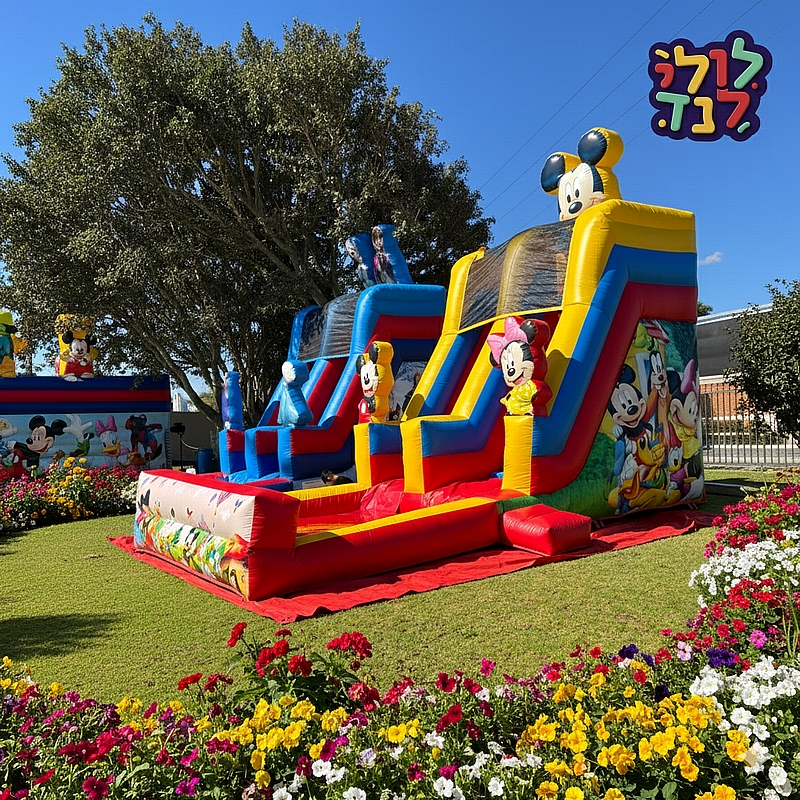 מגלשת מיקי ומיני