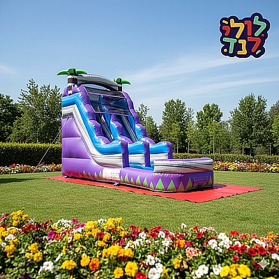 מגלשת דקלים סגולה