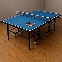 שולחן פינג פונג