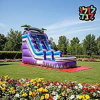 מגלשת דקלים סגולה