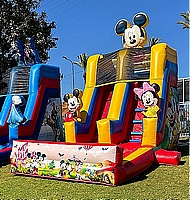 מגלשת מיקי ומיני